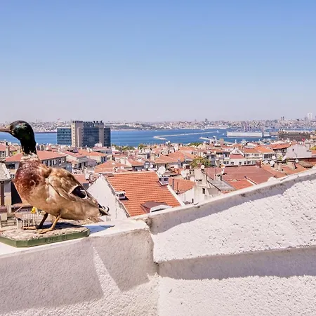 Hotel Duck