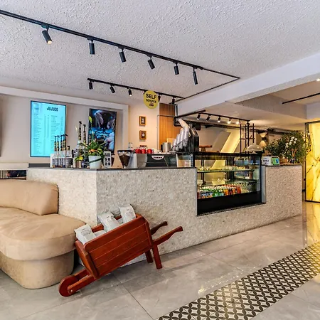 Duck Provincia di Istanbul